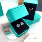 Комплект Tiffany Elsa Peretti серебристый (серьги, цепь)