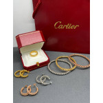 Серьги Cartier Just un Clou